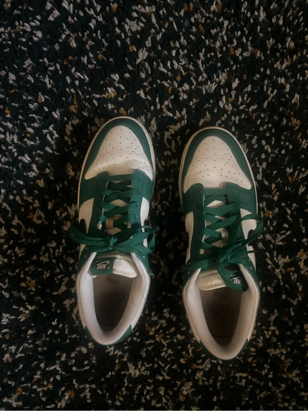 Nike Dunks size 13